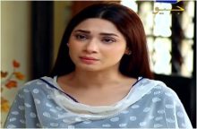 Hina Ki Khushboo Episode 8 in HD