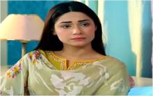 Hina Ki Khushboo Episode 7 in HD