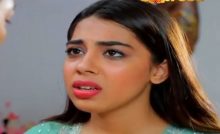 Mohabbat Zindagi Hai
