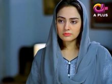 Kambakht Tanno Episode 255 in HD