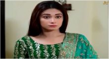 Hina Ki Khushboo Episode 13 in HD