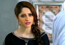 Dil Nawaz Episode 19 in HD