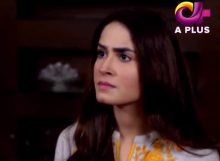 Jao Meri Guriya Episode 30 in HD