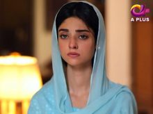 Khidmat Guzar Episode 17 in HD