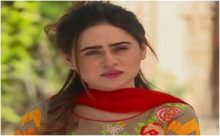 Haya Ke Rang Episode 245 in HD