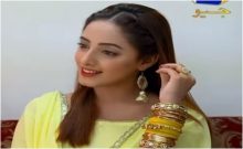 Ghar Titli Ka Par Episode 14 in HD