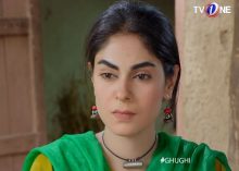 Ghughi Episode 14 in HD
