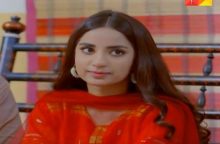 Teri Meri Kahani Episode 19 in HD