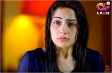 Kambakht Tanno Episode 323 in HD