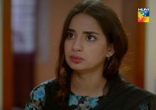 Teri Meri Kahani Episode 28 in HD