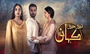 Teri Meri Kahani Episode 31