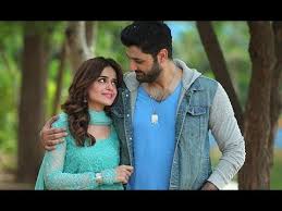 Aik Thi Raniya Last Episode 29