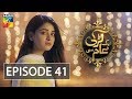 Aik Larki Aam Si Episode 41 Hum Tv 14 August 2018
