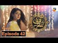 Aik Larki Aam Si Episode 42