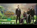 Ishq Tamasha Episode 25