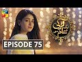 Aik Larki Aam Si Episode 75