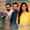 Ishq Bepanah Episode 8