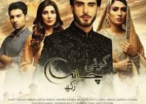 Koi Chand Rakh Episode 15