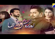 Rubaru Ishq Tha Episode 25