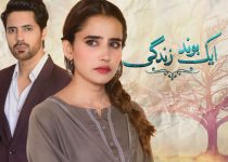 Aik Bond Zindagi Episode 22