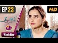 Aik bond Zindagi Episode 24