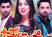 Mohabbat Zindagi Hai Episode 317