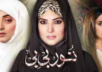 Noor Bibi Episode 2