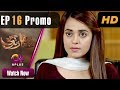 Khafa Khafa Zindagi Episode 16