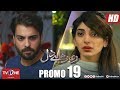 Ro Raha Hai Dil Episode 19