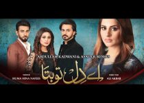 Ay Dil Tu Bata Episode 58