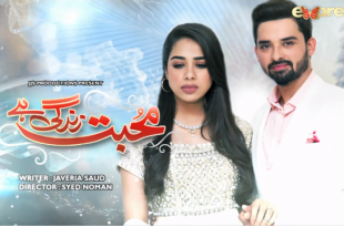 Mohabbat Zindagi Hai Episode 360