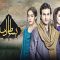 Bisaat e Dil Episode 28