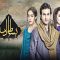 Bisaat e Dil Episode 29 and 30