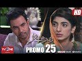 Ro Raha Hai Dil Episode 25