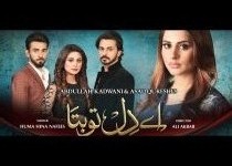 Ay Dil Tu Bata Episode 110