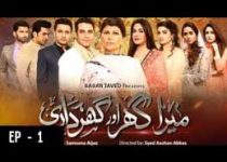 Mera Ghar Aur Ghardari Episode 41