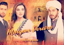 Maryam Pereira Last Episode 21