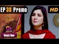 Qadam Qadam Ishq Episode 30