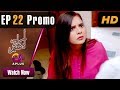 Aik Aur Sitam Episode 22