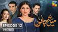 Main Na Janoo Episode 12