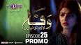 Wafa Lazim To Nahi Episode 25