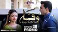 Wafa Lazim To Nahi Last Episode 30