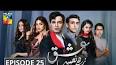 Ishq Zahe Naseeb Episode 25