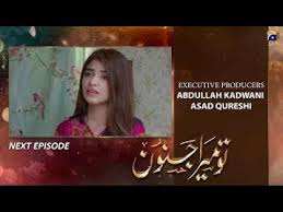 Tu Mera Junoon Episode 39