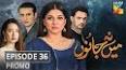 Mein Na Janoo Episode 36