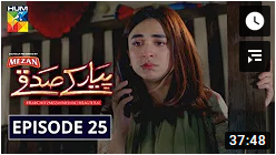 Pyar Ke Sadqay Episode 25