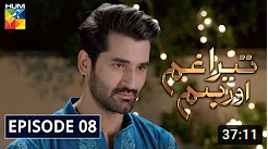 Tera Ghum Aur Hum Episode 8