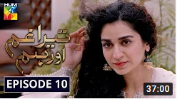 Tera Ghum Aur Hum Episode 10