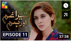 Tera Ghum Aur Hum Episode 11