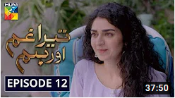 Tera Ghum Aur Hum Episode 12